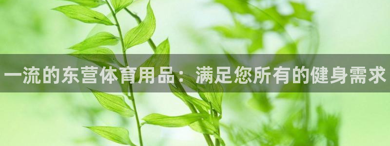欧陆娱乐脚本下载：一流的东营体育用品：满足您所有的健身需求