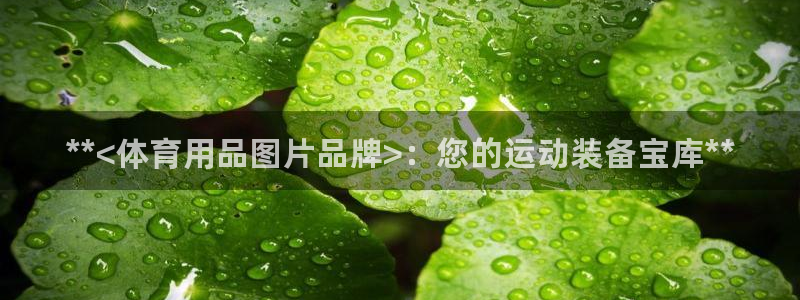欧陆娱乐官网网址：**<体育用品图片品牌>：您的运动装备宝库