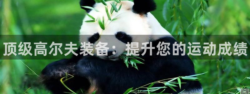 欧陆娱乐登录官网：顶级高尔夫装备：提升您的运动成绩