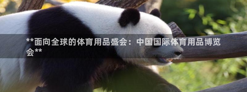 欧陆娱乐登陆平台有哪些